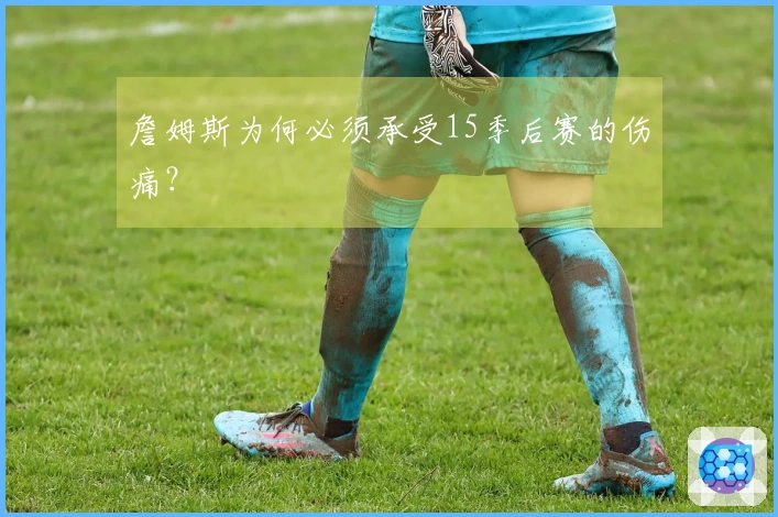 詹姆斯为何必须承受15季后赛的伤痛？